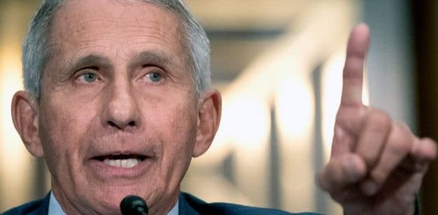 GOP Doctor Caucus Demands Fauci Apologize For Calling Senator A Moron